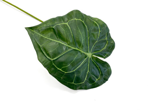 anthurium-leaf-faux
