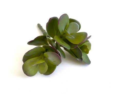 Small Jade Plant, Artificial