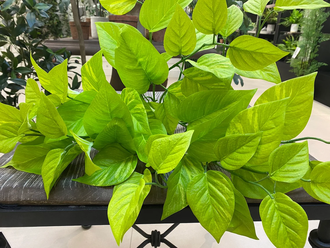 Faux Pothos Plant Floral Home and Holiday