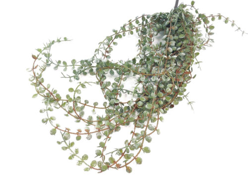 Artificial Button-leaf Vine