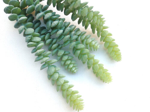Artificial Donkey Tail Succulent