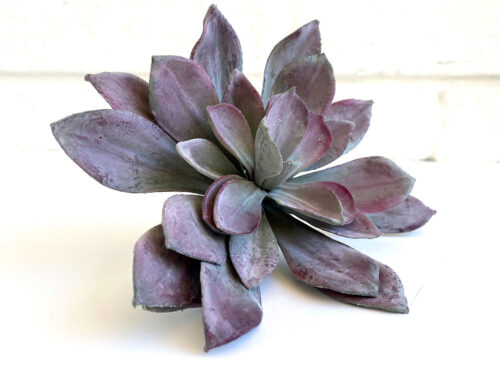 Faux Succulent Purple
