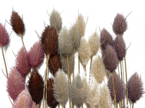 faux-dried-thistle