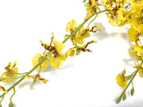 faux-oncidium-orchid