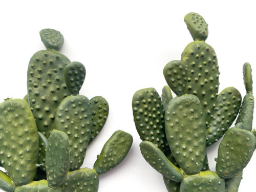 faux-paddle-cactus