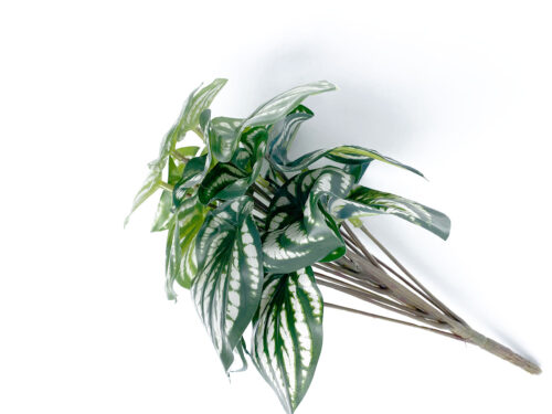 faux-pepperomia-stem