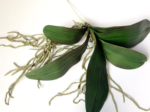 faux-phalaenopsis