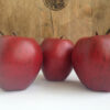 Three Artificial Red Apples