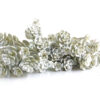 Silver Sedum, Artificial Stonecrop