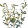 Artificial Eucalyptus, Silver Needle Leaf