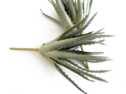 Gray Aloe, Artificial