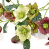 Artificial Hellebore, Lenten Rose from Floral Home and Holiday