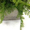 UV Protected Leather Fern