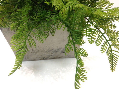 UV Protected Leather Fern
