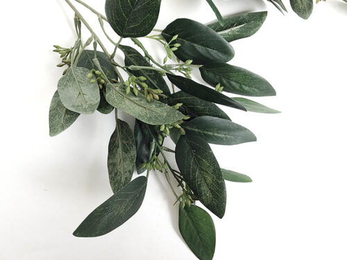 narrow-leaf-eucalyptus