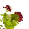 Artificial Christmas Berry, Viburnum