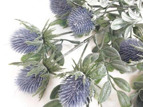 scottish-thistle-lavender