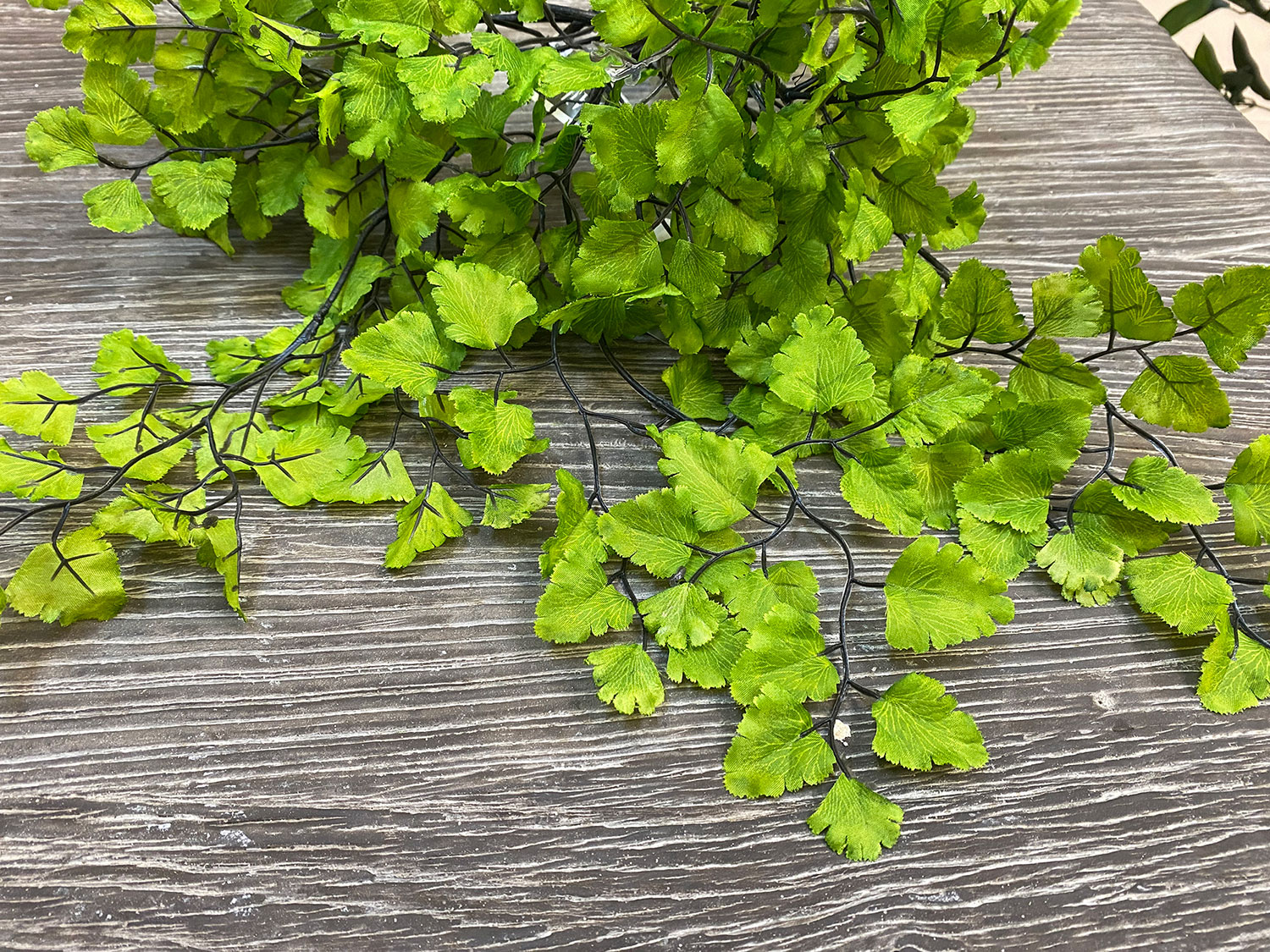 Silk Maidenhair Fern Floral Home and Holiday