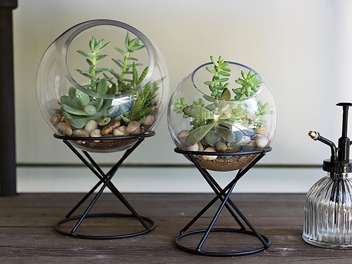 Globe Glass Terrarium Floral Home and Holiday