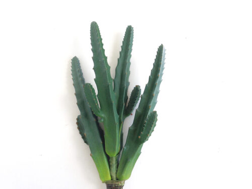 Artificial Cactus Euphorbia