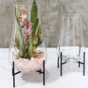 Tall Glass Terrarium with Stand