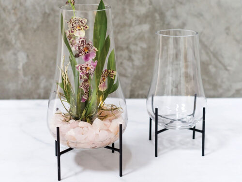 Tall Glass Terrarium with Stand