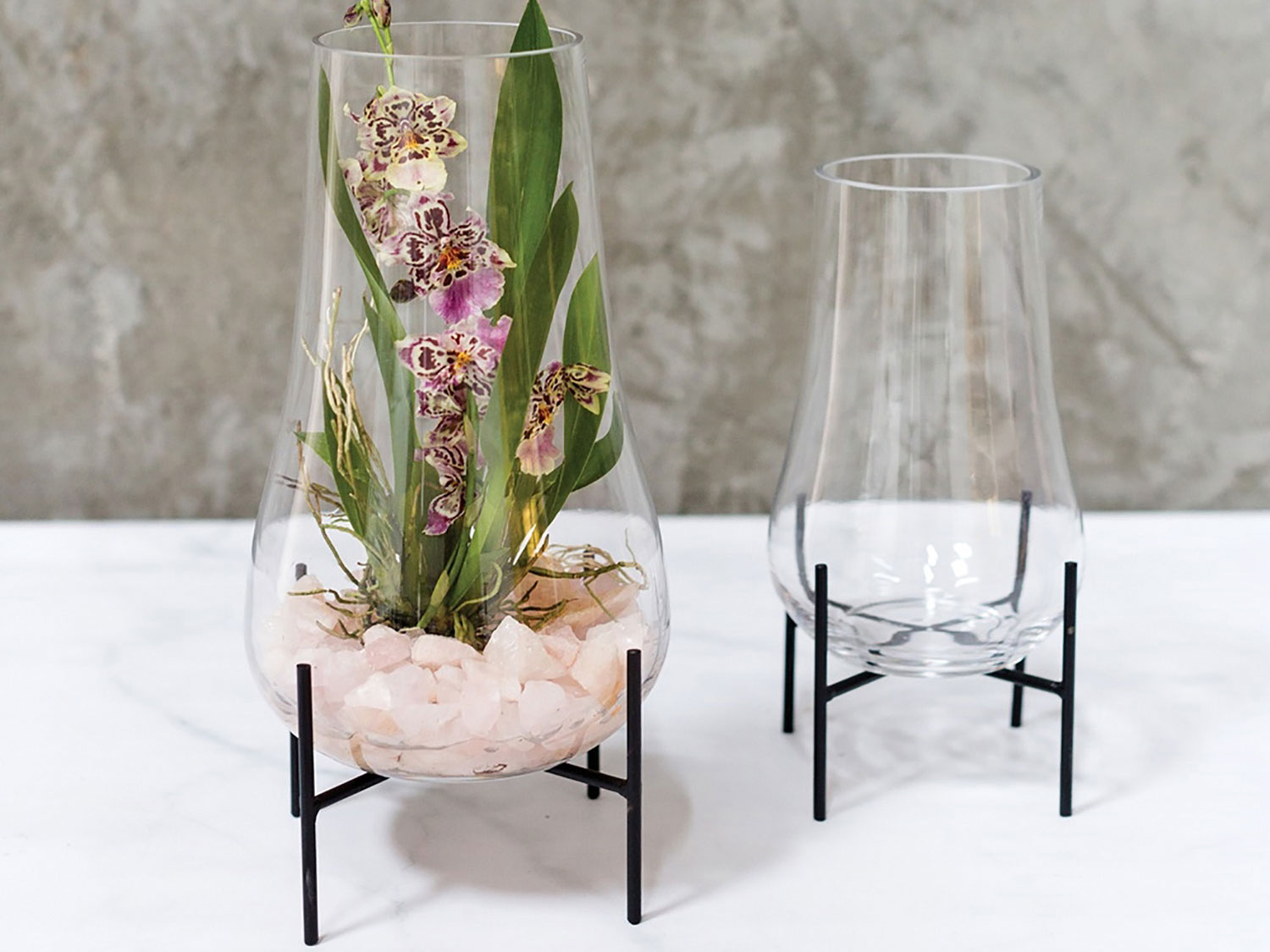 Tall deals glass terrarium
