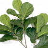 Faux Fiddle Leaf Fig Branch