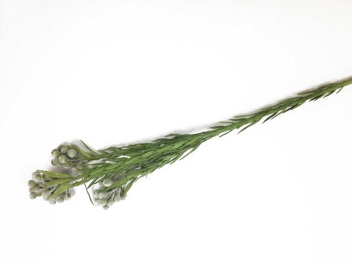artificial-leucadendron-stem