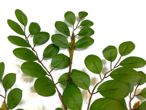 aux-button-leaf-branch