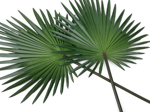 Faux Fan Palm Leaves from Floral Home and Holiday