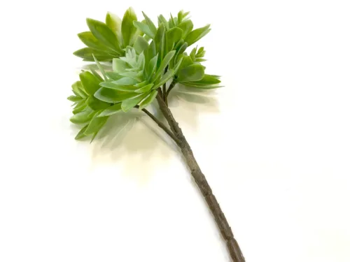 faux green succulent