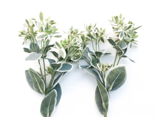 Faux Euphorbia Marginata