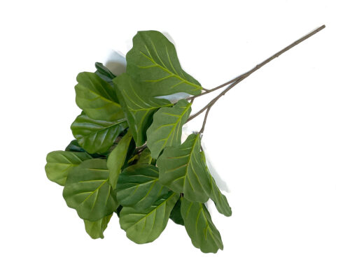 fiddle-leaf-fig-stem