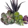 Faux Succulent Collection Purple