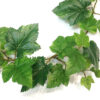 UV Protected Grape Ivy Vine