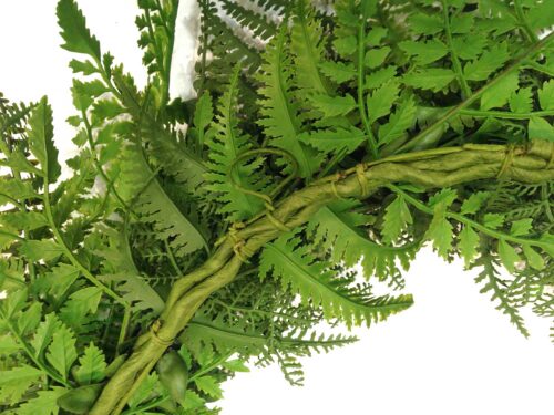 uv-protected-ferns-