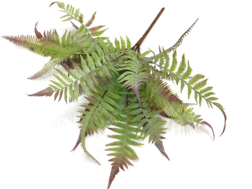 artificial fern autumn fern