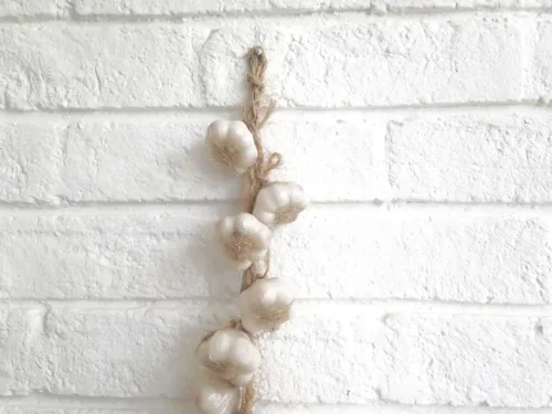 artificial garlic rope