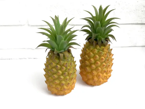 Artificial Pineapple