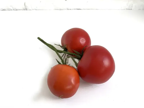 artificial tomato