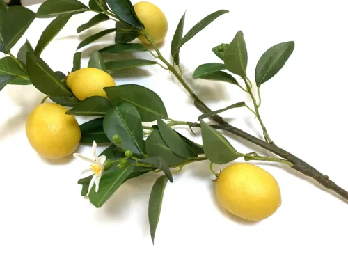 blooming lemon stem