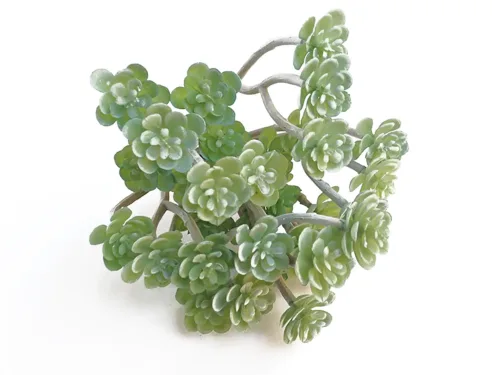 Green Korean Succulent, Artificial