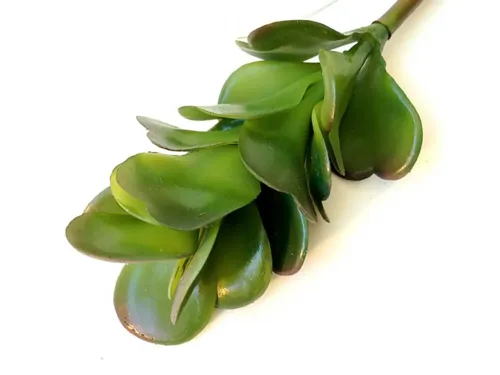 faux jade stem