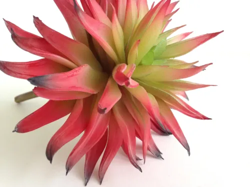 faux red spike succulent