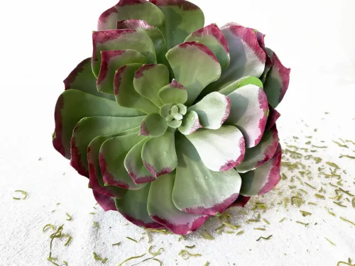 Large Faux Green and Red Echeveria