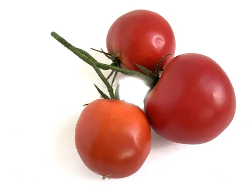 faux tomato ripe red