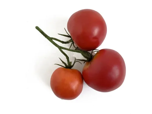Faux Tomatoes on the Stem