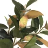 Faux Magnolia Greenery with Buds