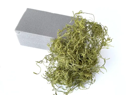dry floral foam and moss kit